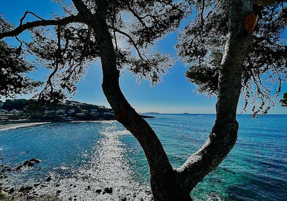 Escapade Au Coeur De Sanary Sanary-sur-Mer Exterior foto